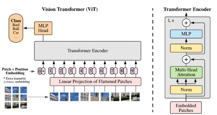 Vision Transformer (ViT)